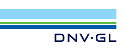 DNV Managing Risk